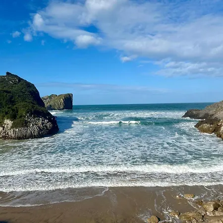 Palmeras