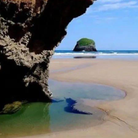 Palmeras فندق سيلوريو