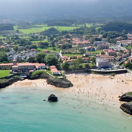 Palmeras