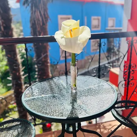 Palmeras Hotel