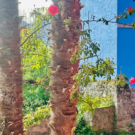 호텔 Palmeras