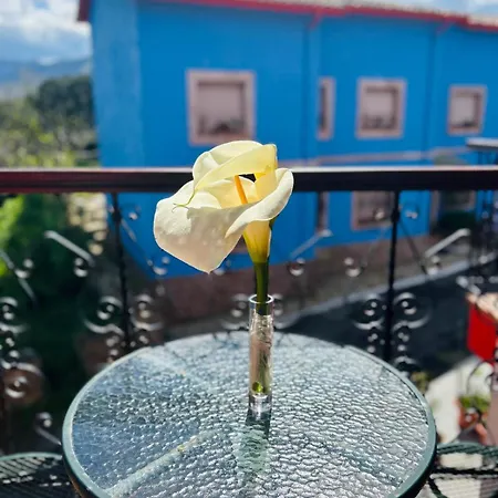 Palmeras Hotel