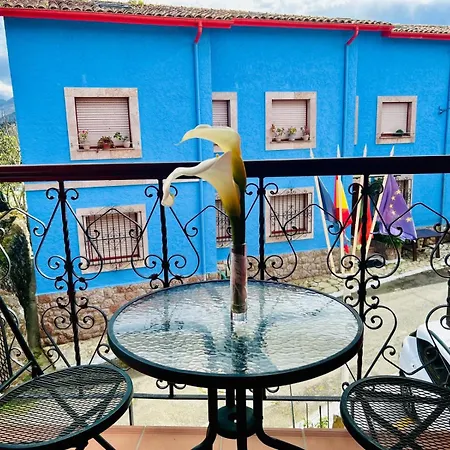 Palmeras Hotel Celorio (Llanes)