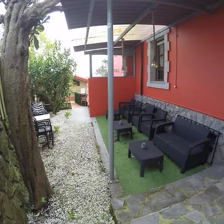 Palmeras سيلوريو