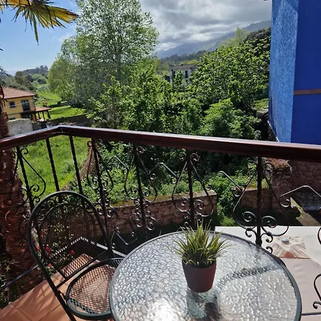 Palmeras سيلوريو