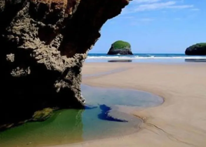 Palmeras Hotel Celorio (Llanes)