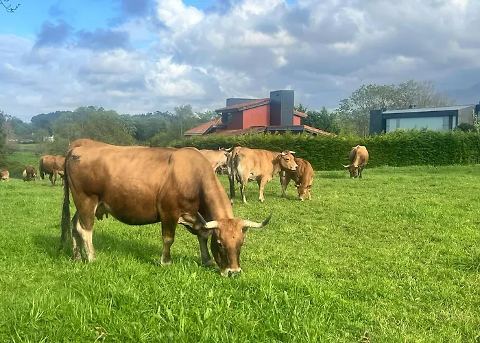 Palmeras Celorio (Llanes)