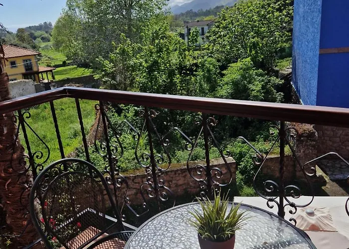 Palmeras Celorio (Llanes)