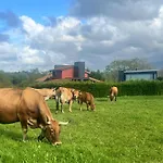 Palmeras Celorio