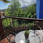 Palmeras Celorio
